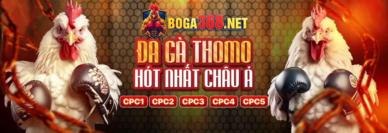 Đừng bỏ lỡ bất kỳ tin tức nào từ 77vin app
